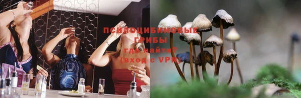спайс Арсеньев