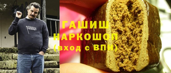 молекула духа Горняк